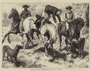 حياة بوش في أستراليا ، باك جامبر بواسطة باسل برادلي